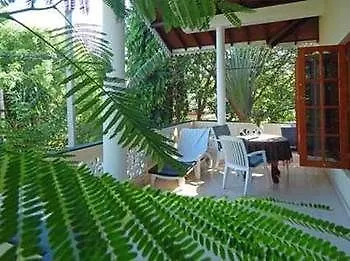 Rico Shadow Guest House نيجومبو 3*,